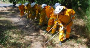 Learning techniques of fire fighting