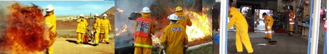 The CFS in Action!