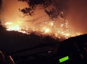 Car fire & Forest Fire, Forest Range