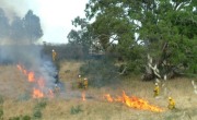 Grass fire at Anstey Hill