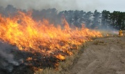 Eyre Peninsula Fire, Edillilie