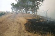 Kemiss Hill Fire, Fleurieu Peninsula