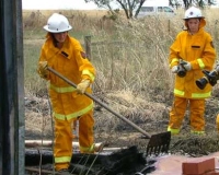 Women in the CFS