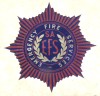 EFS Emblem