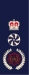 Chief Officers Epaulette