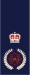 Deputy Chief Officers Epaulette