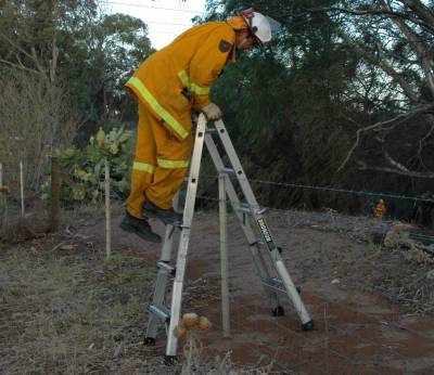 A telescopic ladder in use