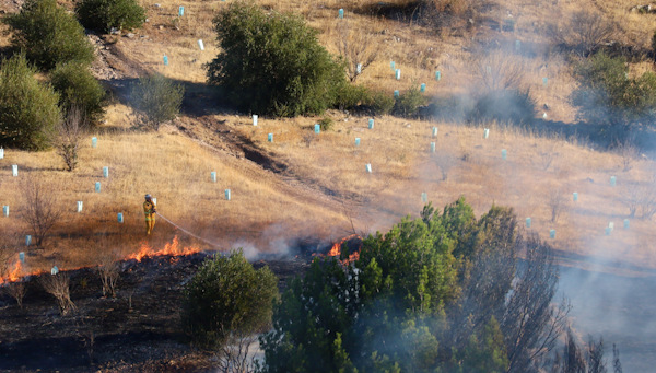 Grass fire, Sheidow Park