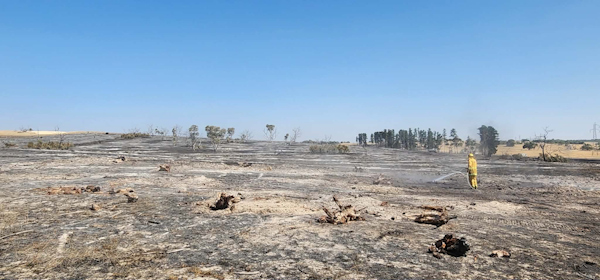 Grass and Pine Trash fire, Keilira
