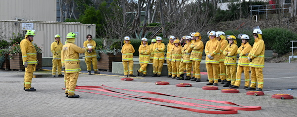Cadet BF1 Course, STC