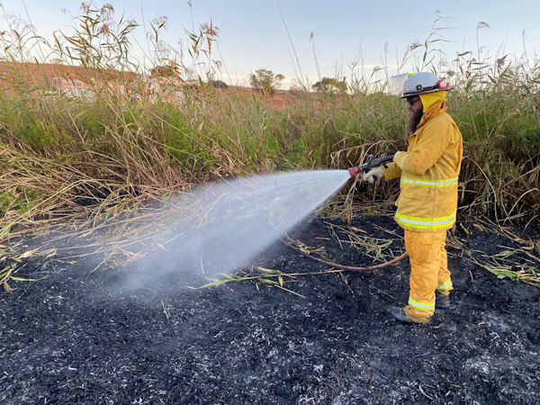 Grass and reed fire, Wellington East