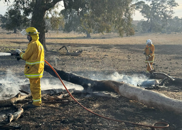 Grass fire, Harrogate