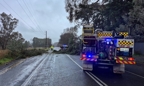 Tree down, Kersbrook