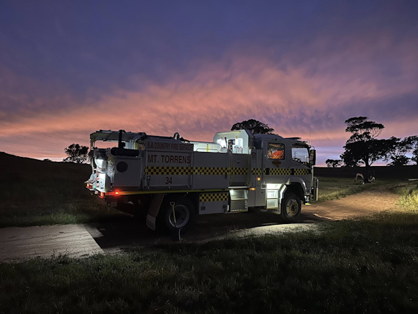 Horse Rescue, Tungkillo