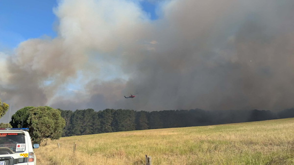 Scrub fire, Nangkita