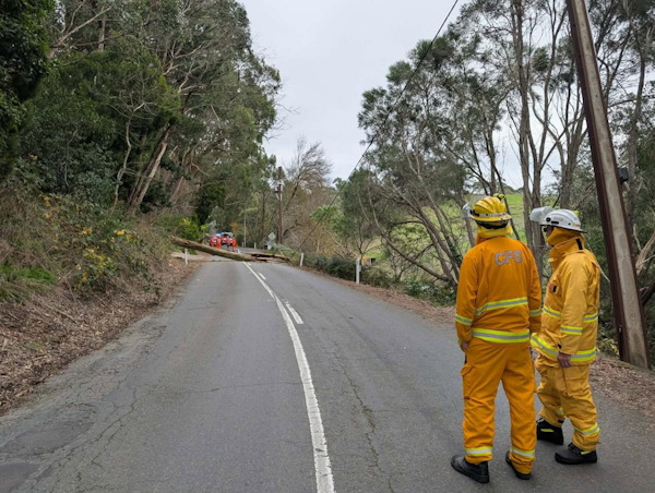 Tree down, Ashton