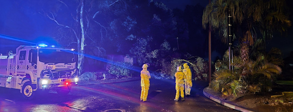 Tree down on powerlines, Nuriootpa