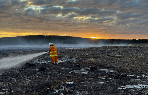 Pine fire, Koorine