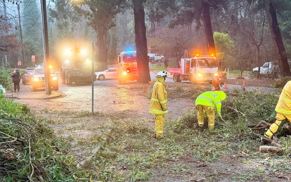 Tree down, Crafers