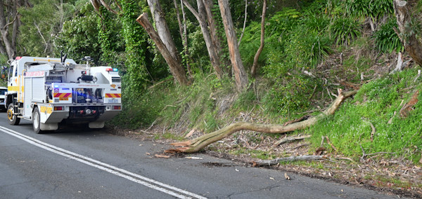 Tree down, Ashton