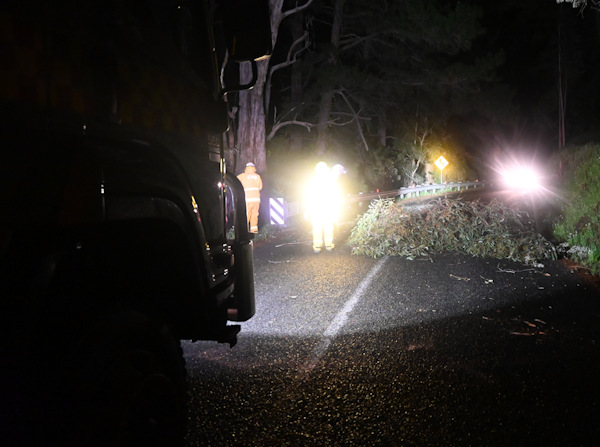 Tree down, Basket Range