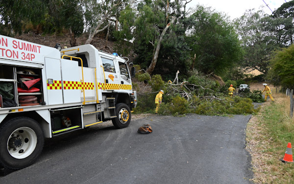 Tree down, Norton Summit