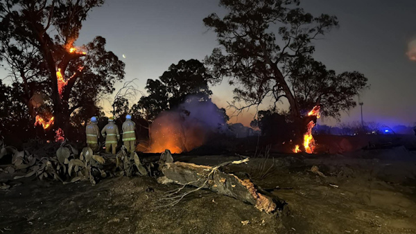 Scrub fire, Riverlea Park