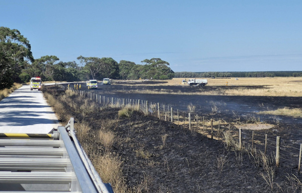 Grass fire, Dismal Swamp