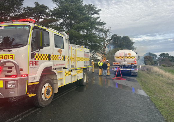 Tree fire, Torrens Vale