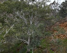 Basket Range 14 from Ashley Hosking, CFS Promotions Unit