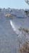 20131024_161806_Chapman Parade_18
