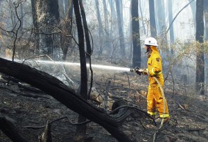 Zooming in on the firefighter