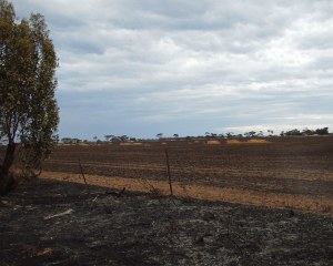 Burnt ground - very boring!