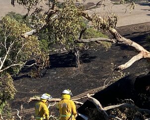 Grass and scrub fire, Bull Creek from Meadows CFS
