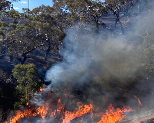 Grass and scrub fire, Bull Creek from Meadows CFS