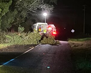 Tree down, Mil Lel from Wandilo CFS