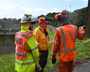 Tree down, Ashton from Ashley Hosking, CFS Promotions Unit