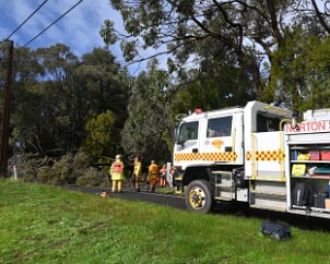 Tree down, Ashton from Ashley Hosking, CFS Promotions Unit