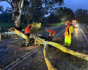 Tree down, Wattle Flat from Yankalilla CFS