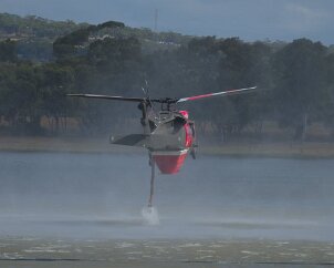 Grass fire, Reynella from Reuben X Howe