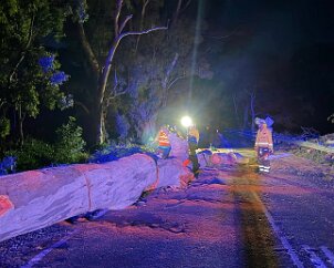 Tree down Kenton Valley from Tea Tree Gully CFS