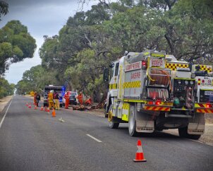 Tree down, Lewiston from Gawler River CFS