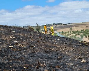 Grass fire, Nangkita from Strathalbyn CFS