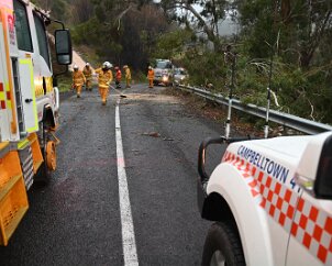 Tree down, Basket Range from Ashley Hosking, CFS Promotions Unit