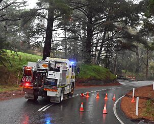 Tree down, Basket Range from Ashley Hosking, CFS Promotions Unit
