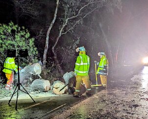 Tree down, Kuitpo from Kangarilla CFS