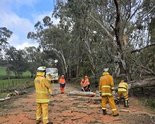 Tree down, Kersbrook from Kersbrook CFS