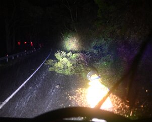 Tree down, Basket Range from Pip McGowan, CFS Promotions Unit