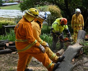 Tree down, Basket Range from Pip McGowan, CFS Promotions Unit