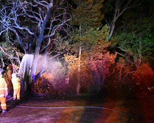 Scrub and grass fire, Lenswood from Pip McGowan, CFS Promotions Unit